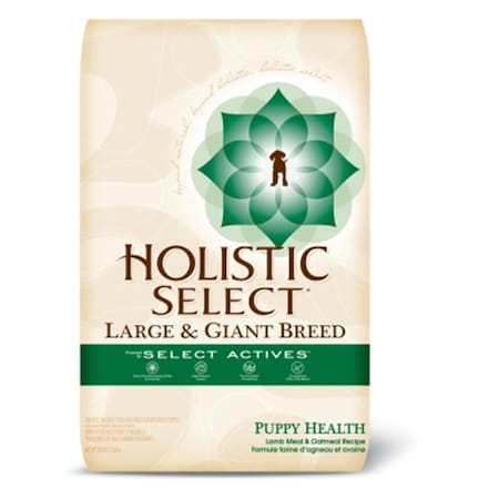 Wellpet Mishawaka 30 lb. Holistic Puppy Large-Giant Breed WP23924